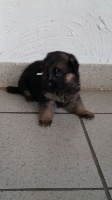 LOUNA